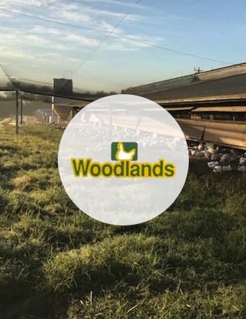 woodlands slide 1