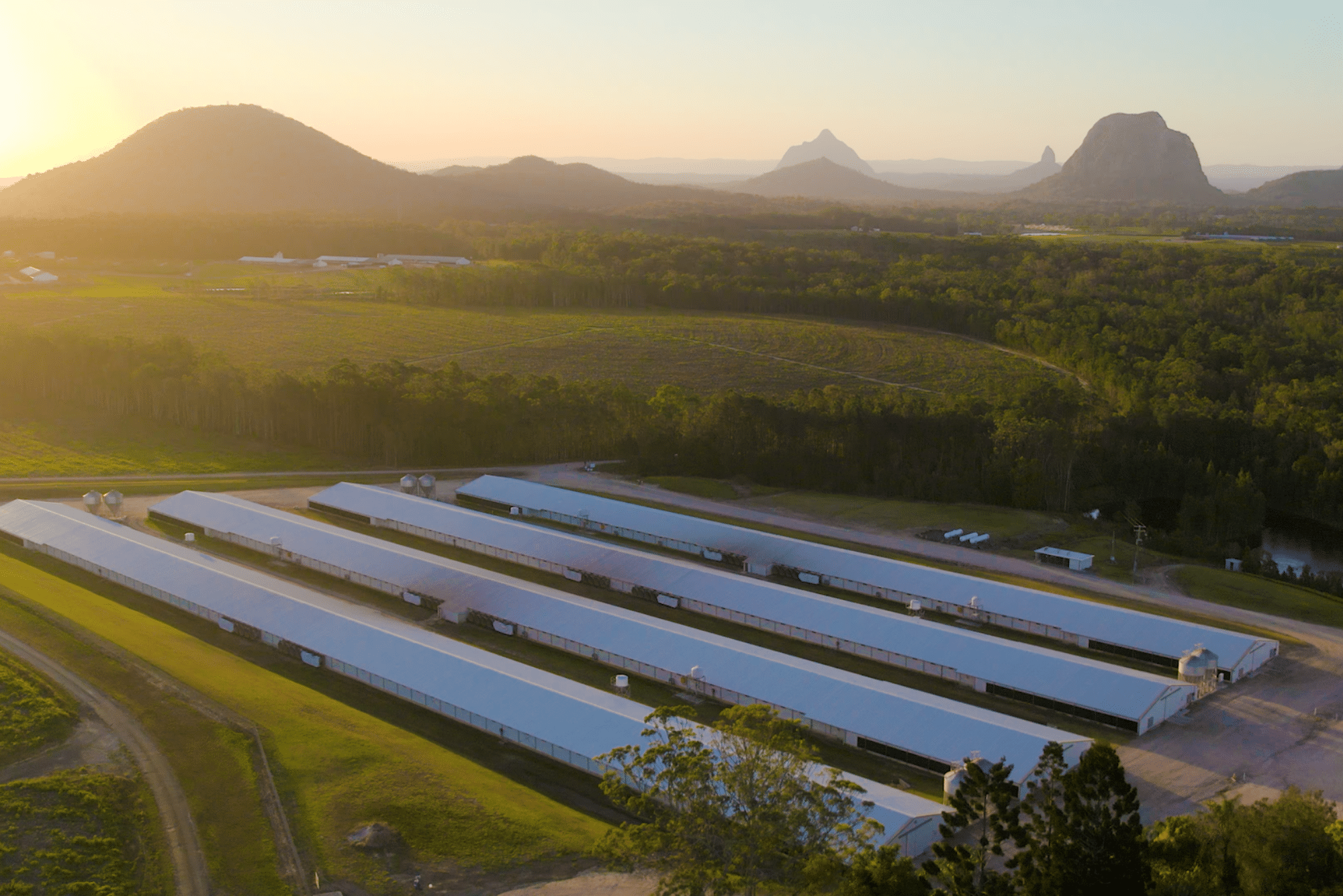 climate resilience in food supply