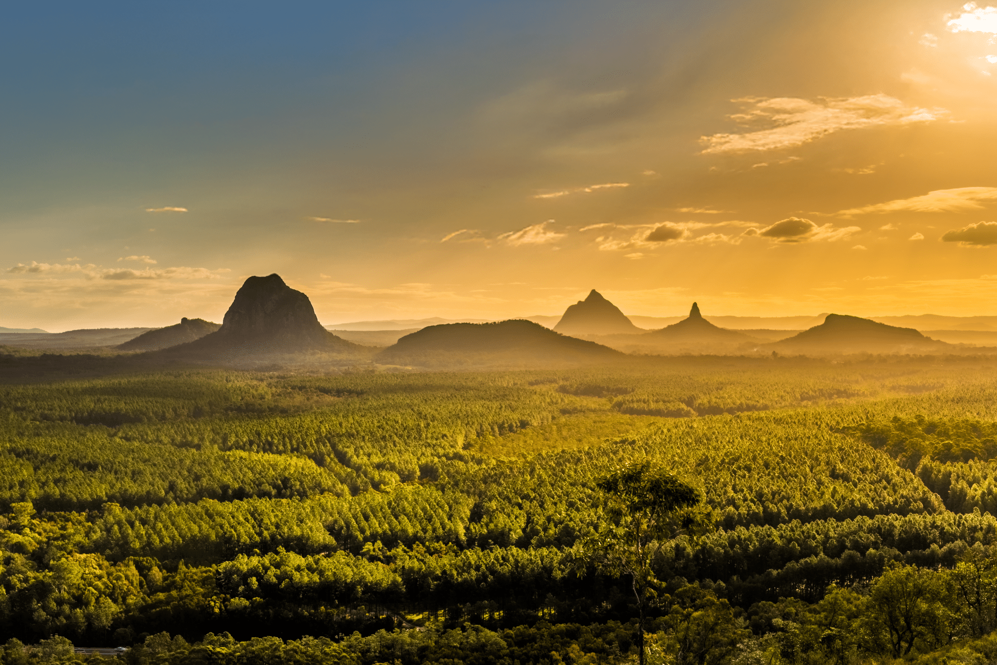Why Regional Queensland Businesses Have an Advantage City Businesses Cannot Replicate
